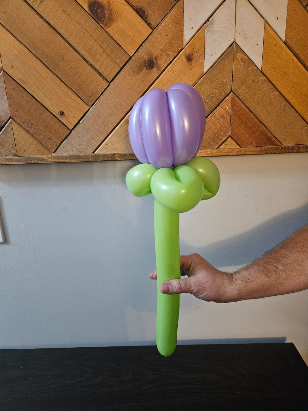 purple balloon flower